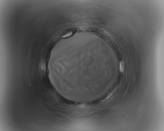 X0000088851155200707061027