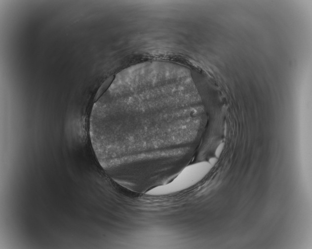 X0000088851156200707061027