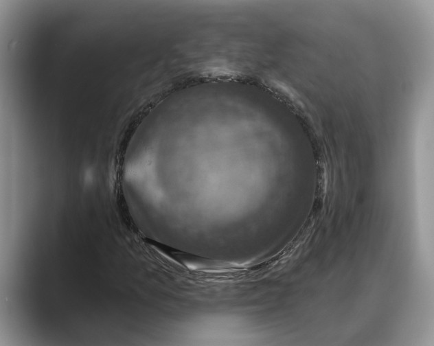 X0000088851157200707061027