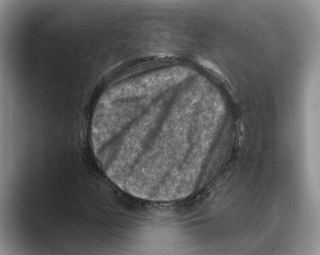 X0000088851158200707061027