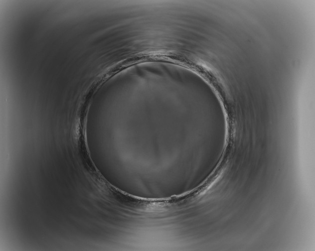 X0000088851161200707061027