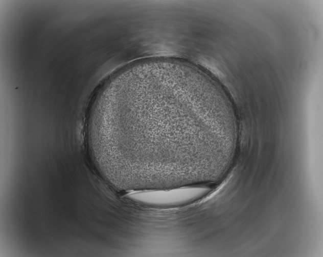 X0000088851163200707061027