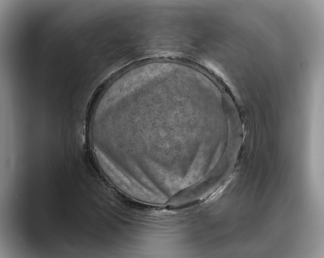 X0000088851165200707061027