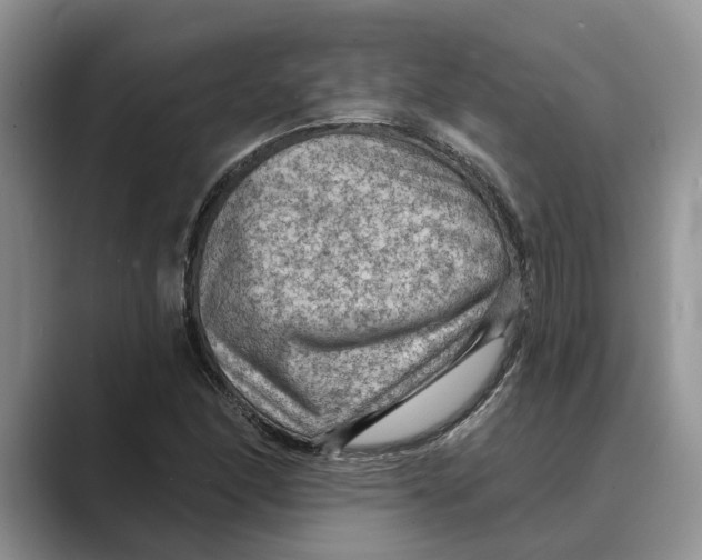 X0000088851166200707061027
