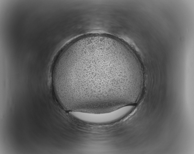 X0000088851167200707061027