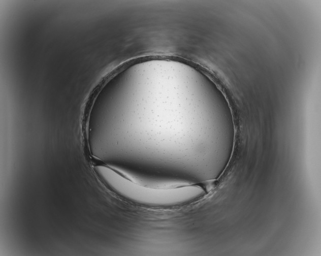 X0000088851168200707061027