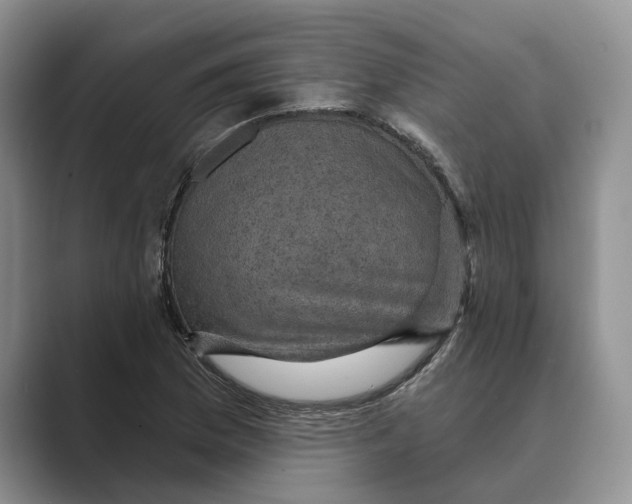 X0000088851169200707061027