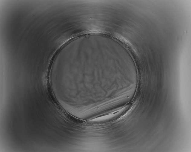 X0000088851170200707061027