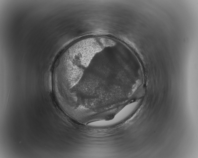 X0000088851171200707061027