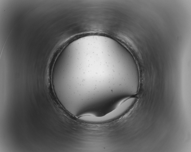 X0000088851172200707061027