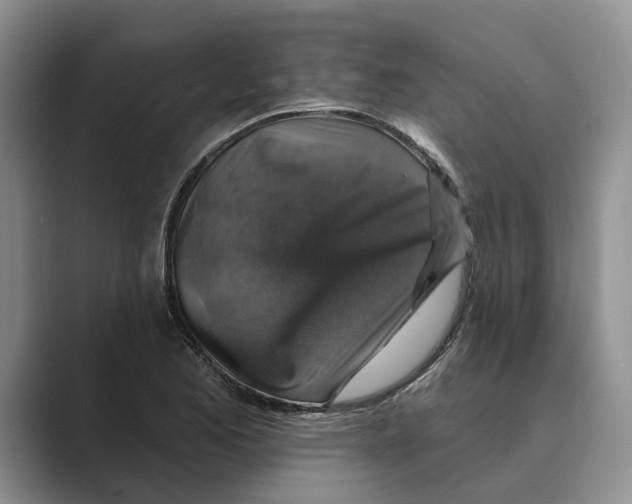 X0000088851173200707061027