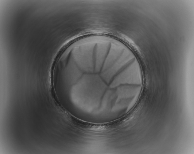 X0000088851174200707061027