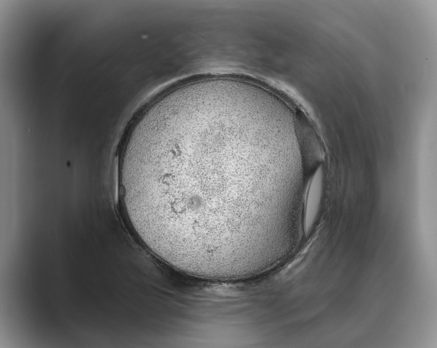 X0000088851175200707061027