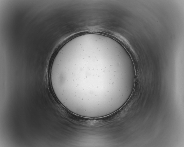 X0000088851176200707061027