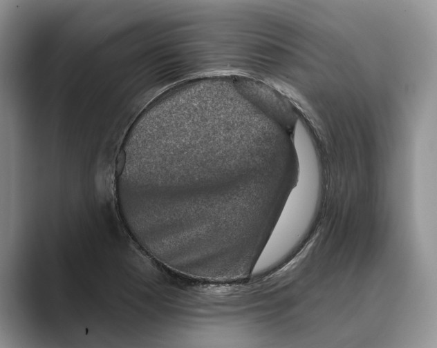 X0000088851177200707061027