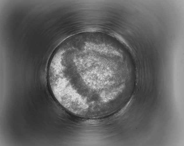 X0000088851178200707061027