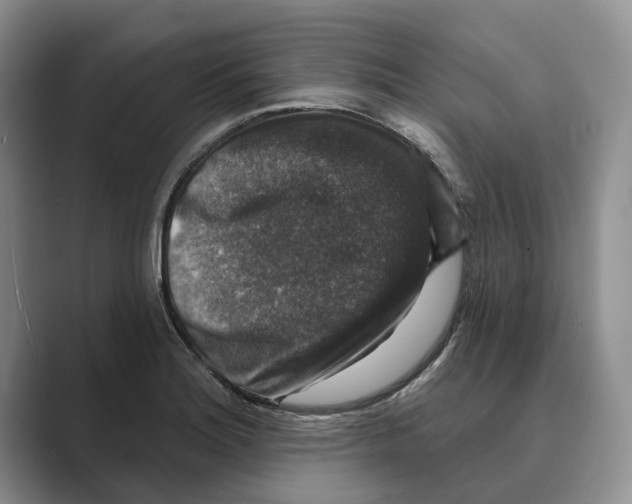 X0000088851180200707061027