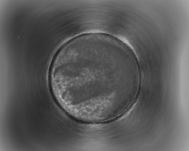 X0000088851181200707061027