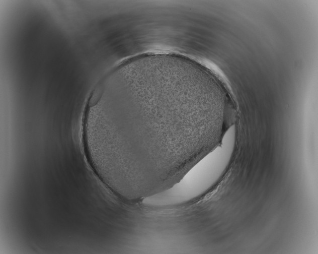 X0000088851183200707061027