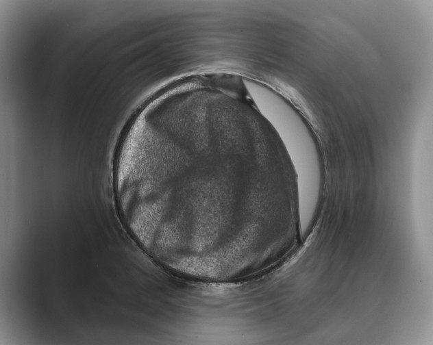 X0000088851184200707061027