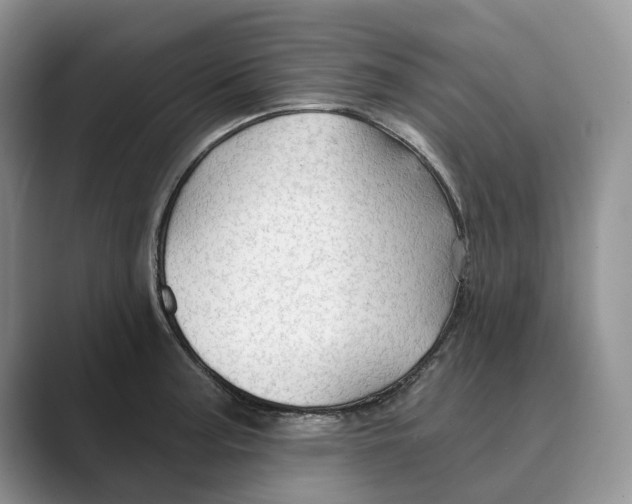 X0000088851187200707061027
