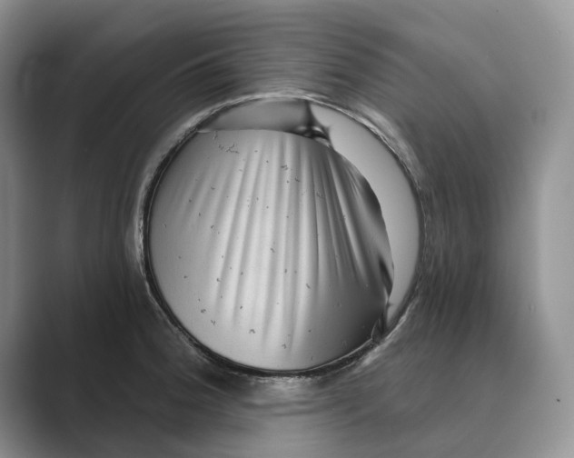 X0000088851188200707061027