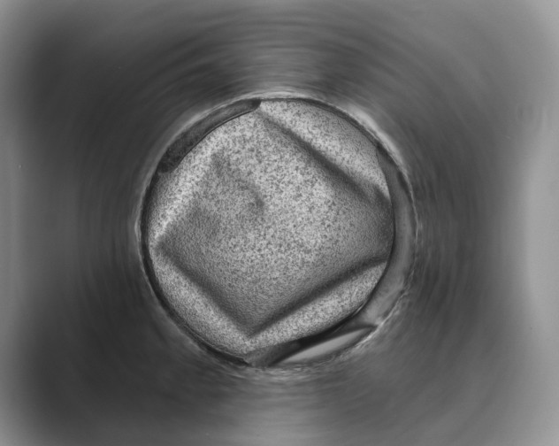 X0000088851189200707061027