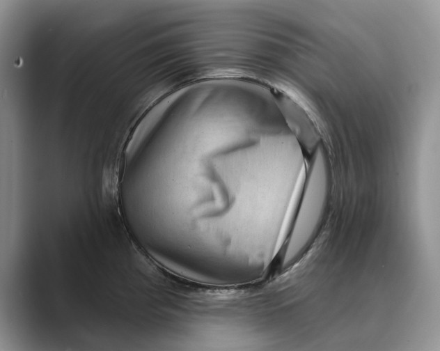 X0000088851193200707061027