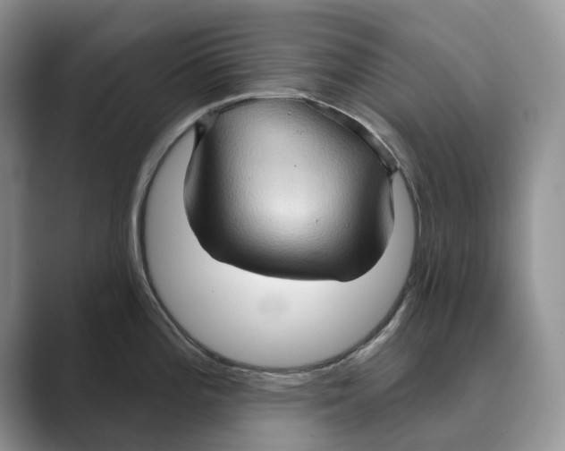 X0000088851196200707061027