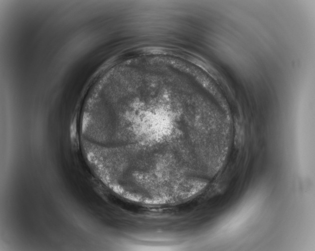 X0000088851198200707061027
