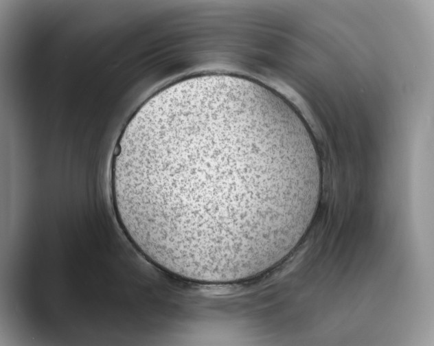 X0000088851199200707061027