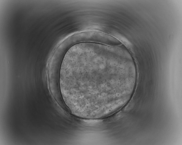 X0000088851200200707061027