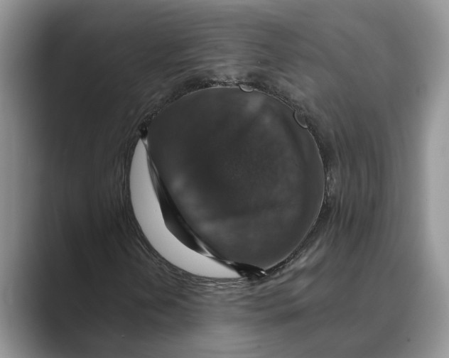 X0000088851202200707061026