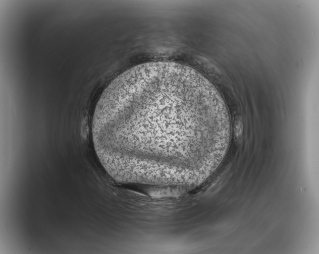X0000088851204200707061026