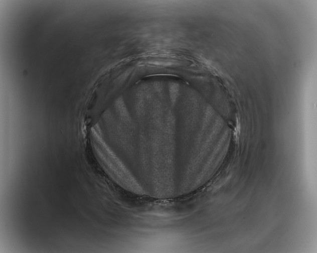 X0000088851206200707061026