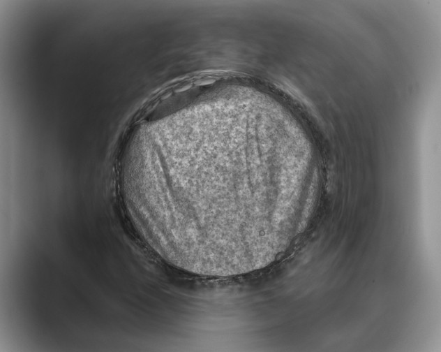 X0000088851208200707061026
