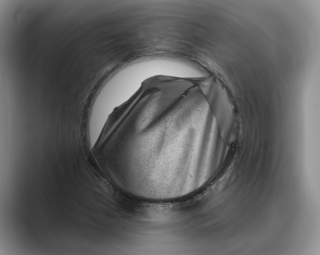 X0000088851210200707061026