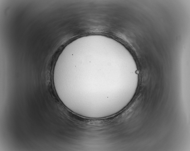 X0000088851211200707061026