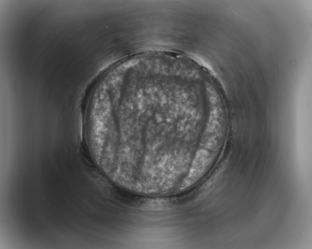 X0000088851219200707061027