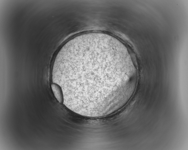 X0000088851220200707061027