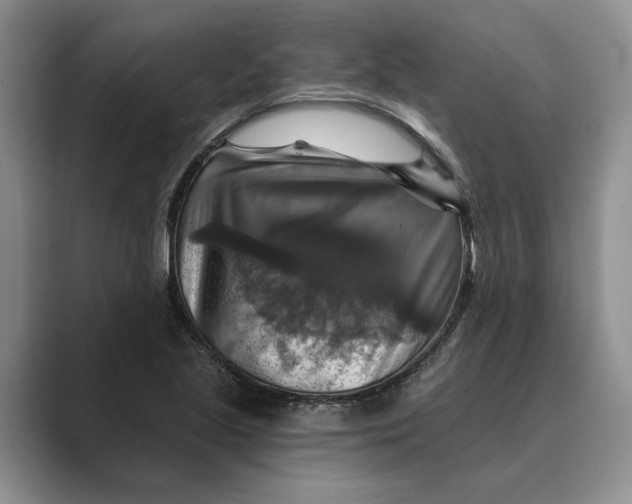 X0000088851221200707061027