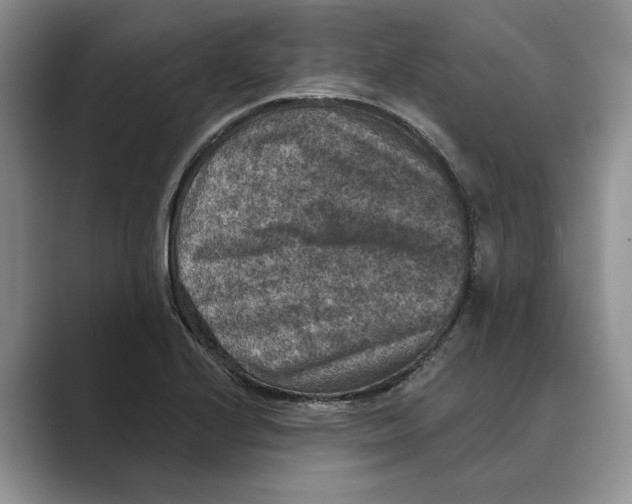 X0000088851224200707061027
