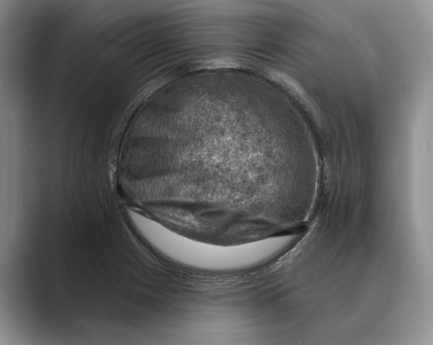X0000088851225200707061027