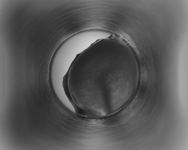 X0000088851226200707061027