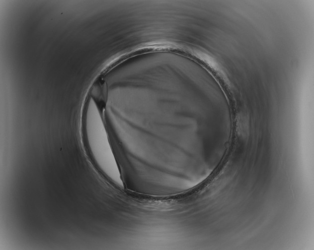 X0000088851229200707061027