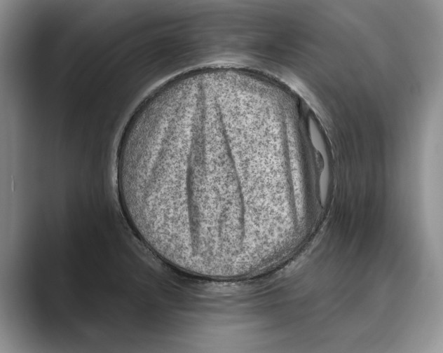 X0000088851232200707061027