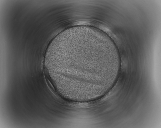 X0000088851233200707061027