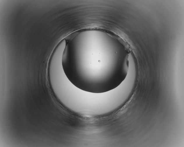X0000088851234200707061027