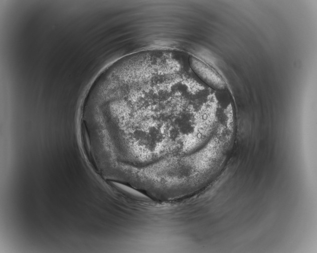X0000088851235200707061027