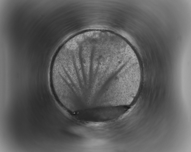 X0000088851237200707061027